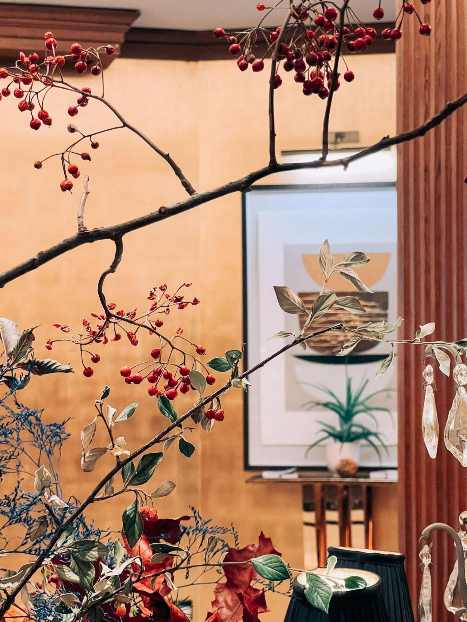 Maison Astor Paris, Curio Collection By Hilton